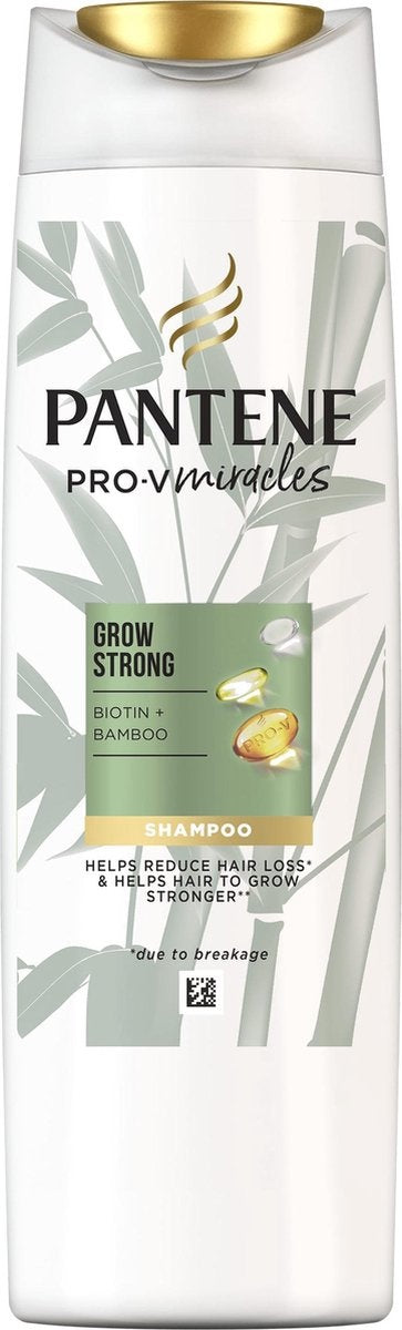 roter baumfreund Philodendron Red