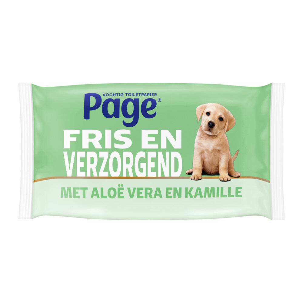 Page Moist toilet paper - 38 pieces - Aloe Vera
