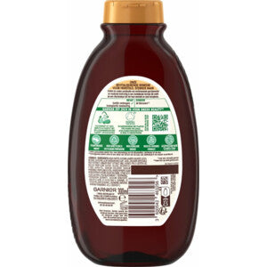 Garnier Loving Blends Ginger Boost Shampoo 300 ml