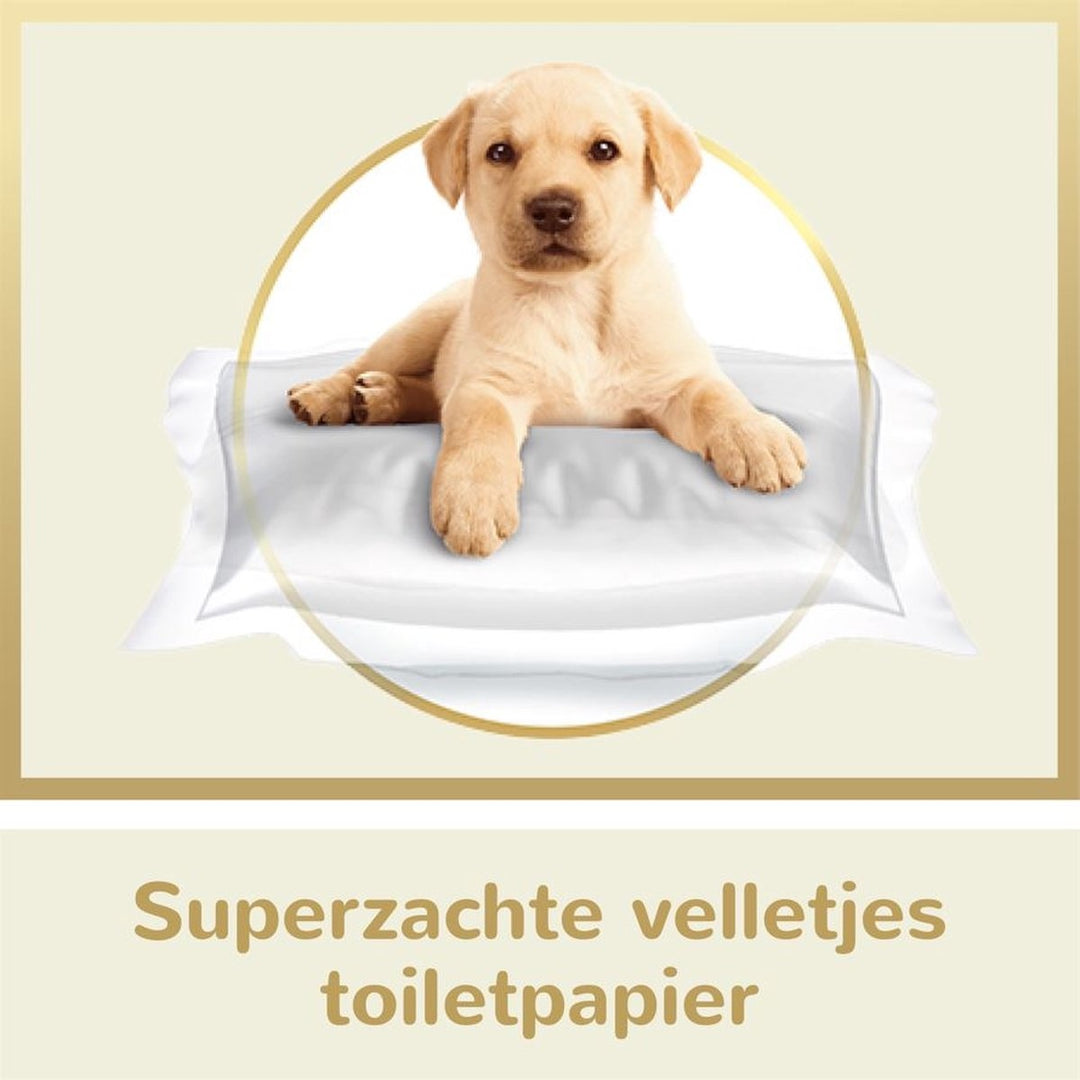 Page Pure Toilettenpapier – 24 Rollen – Extra langlebig – Verpackung beschädigt.