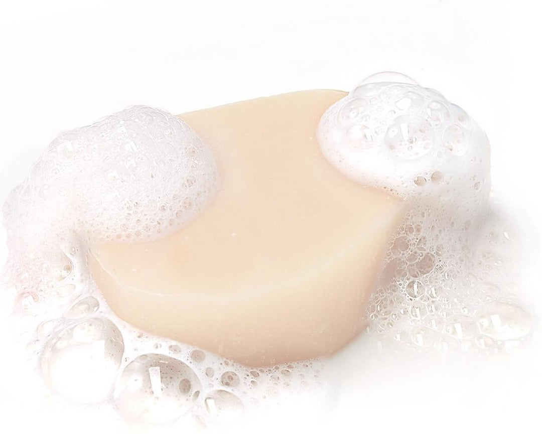 Garnier Loving Blends Solid Shampoo Bar Mild Oats – Für brüchiges Haar – 60 g – Verpackung beschädigt