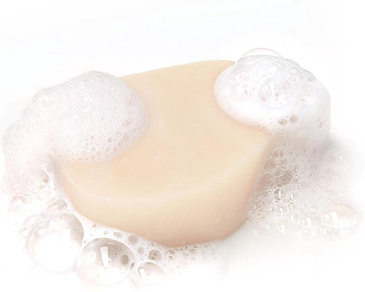 Garnier Loving Blends Revitalizing Solid Shampoo Bar Ginger – 1 Stück – Für schlaffes und lebloses Haar – Verpackung beschädigt