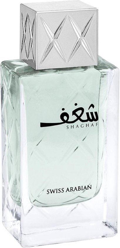 Herrenparfüm Afnan EDP 100 ml 9 Pm