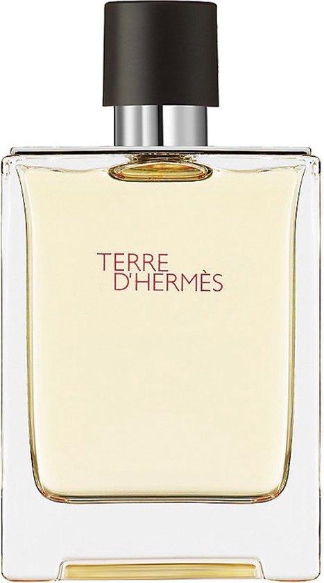 Hermès Terre d'Hermes 100 ml - Eau de Toilette Herrenparfüm