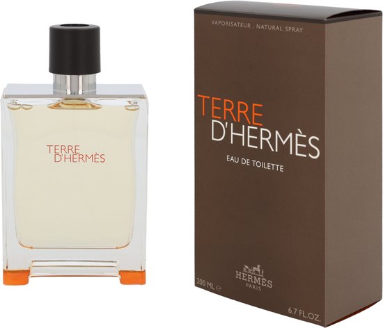 Hermès Terre d'Hermes 100 ml - Eau de Toilette Herrenparfüm