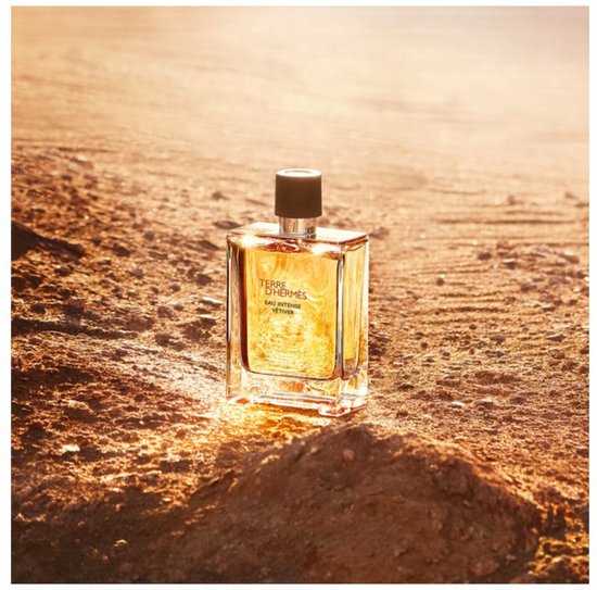 Hermes Terre d'Hermès Eau Intense Vétiver 100 ml - Eau de Parfum