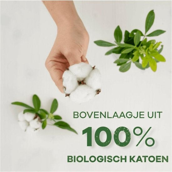 Always Damenbinden Bio Cotton Protection Ultra Normal mit Flügeln 12 Stück