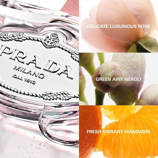 Prada – Les Infusions de Prada Rose – Eau De Parfum 100 ml – Verpackung beschädigt