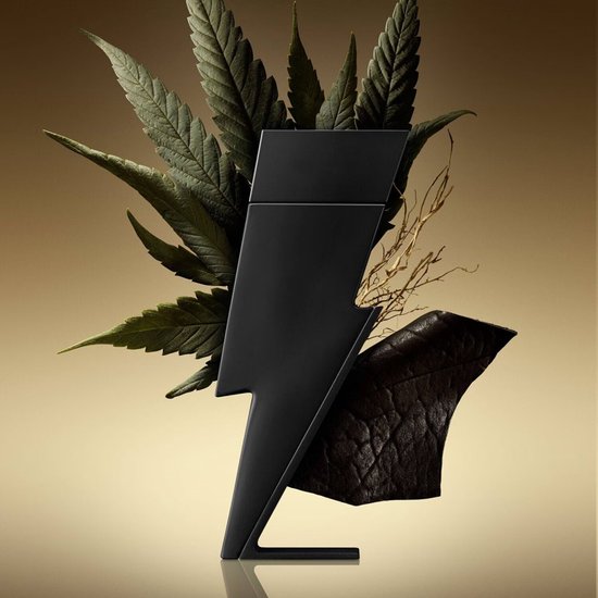 Carolina Herrera Bad Boy Le Parfum 100 ml Eau de Parfum - Men's perfume